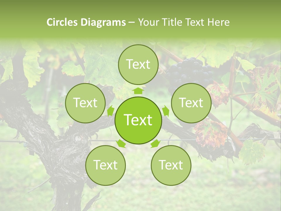 Branch Plant Healthy PowerPoint Template