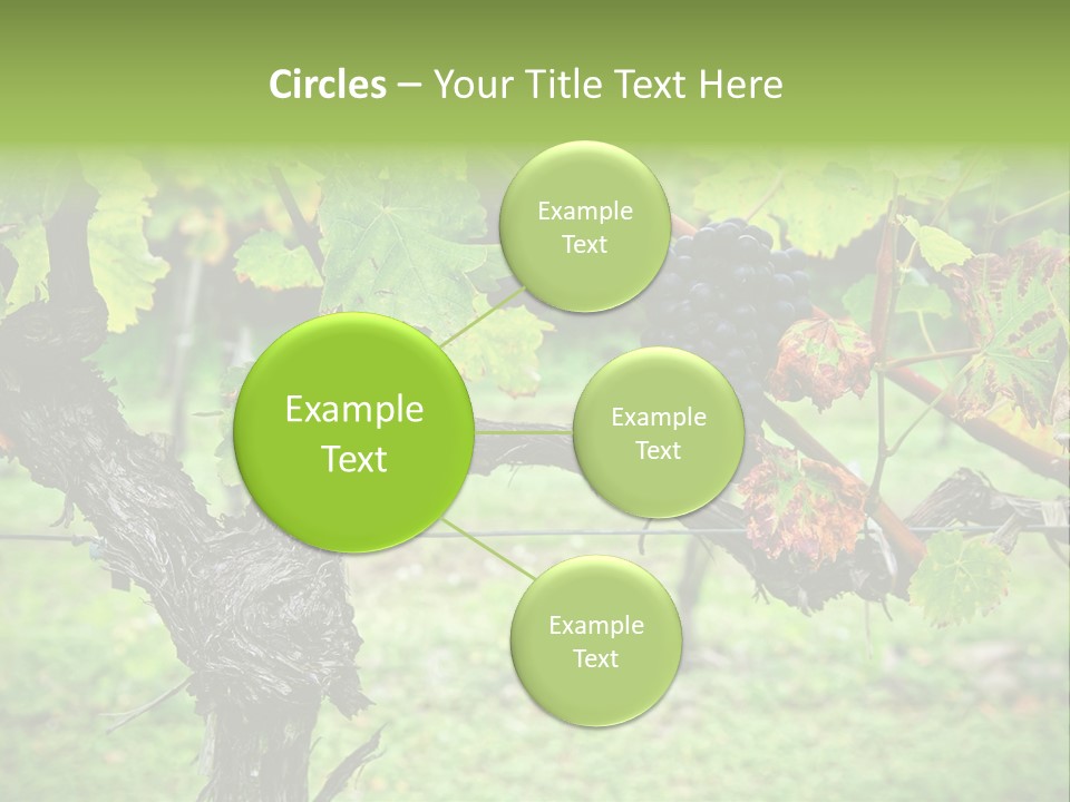 Branch Plant Healthy PowerPoint Template