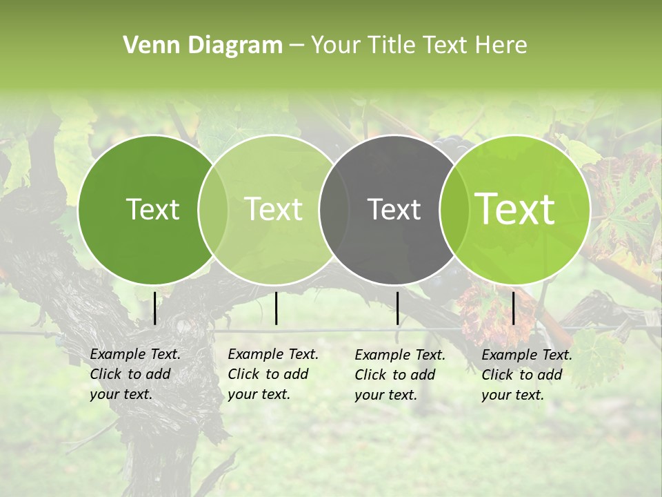 Branch Plant Healthy PowerPoint Template