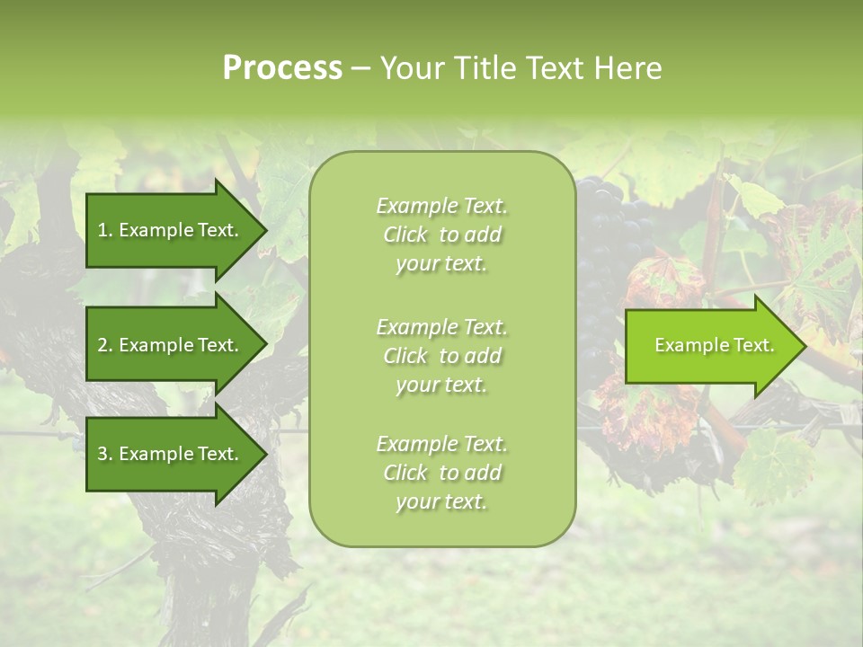Branch Plant Healthy PowerPoint Template