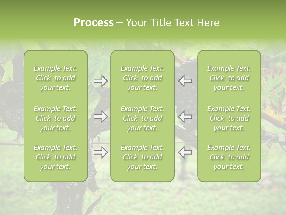 Branch Plant Healthy PowerPoint Template