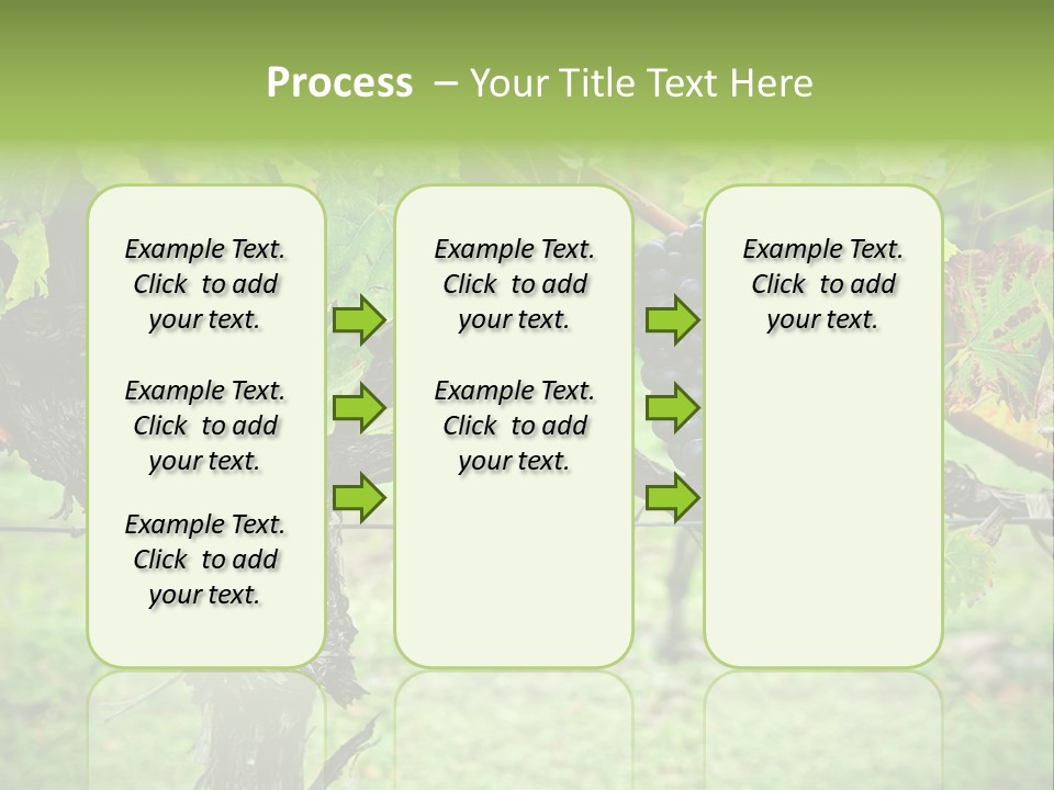 Branch Plant Healthy PowerPoint Template