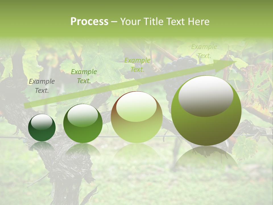 Branch Plant Healthy PowerPoint Template