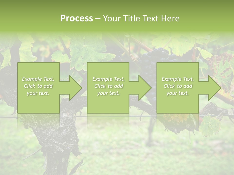 Branch Plant Healthy PowerPoint Template