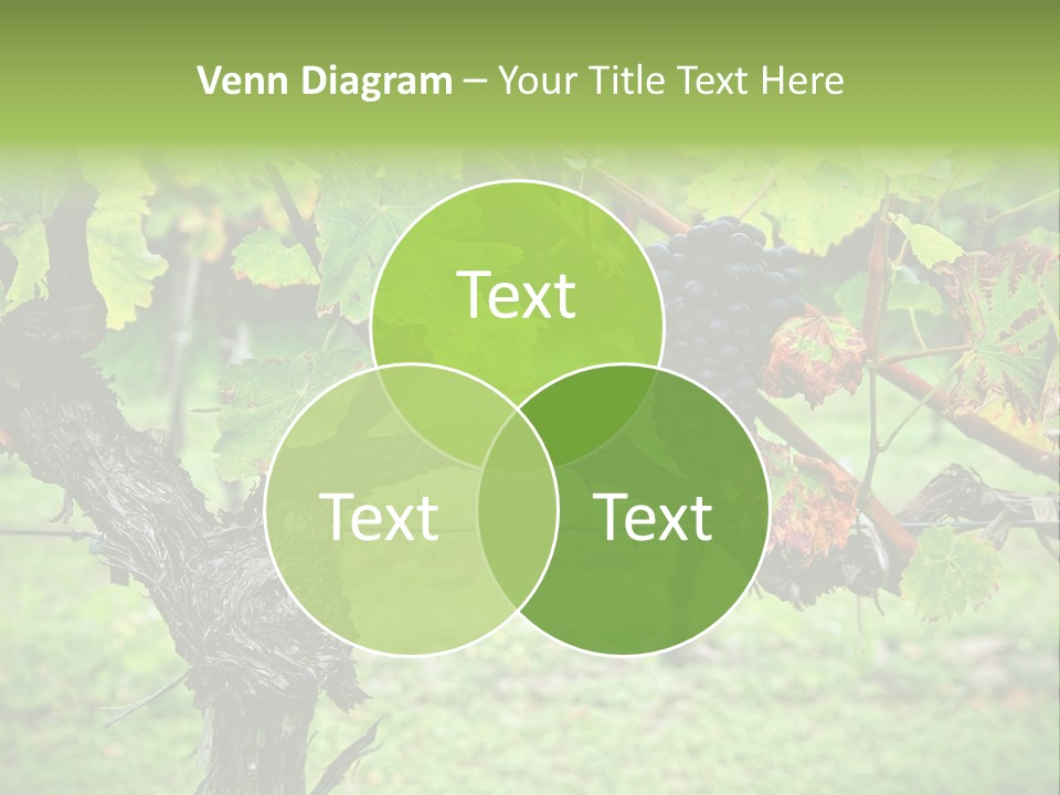 Branch Plant Healthy PowerPoint Template