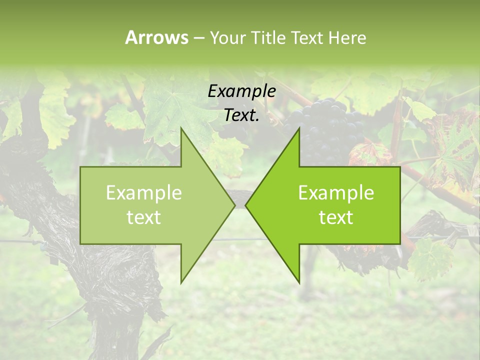 Branch Plant Healthy PowerPoint Template