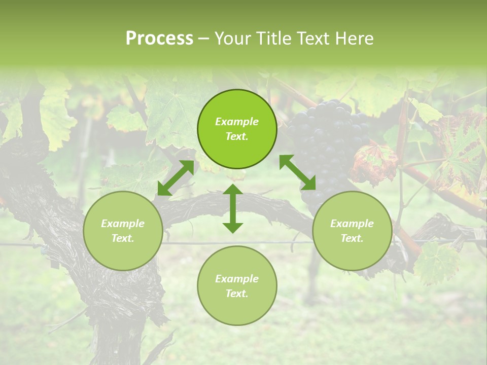 Branch Plant Healthy PowerPoint Template