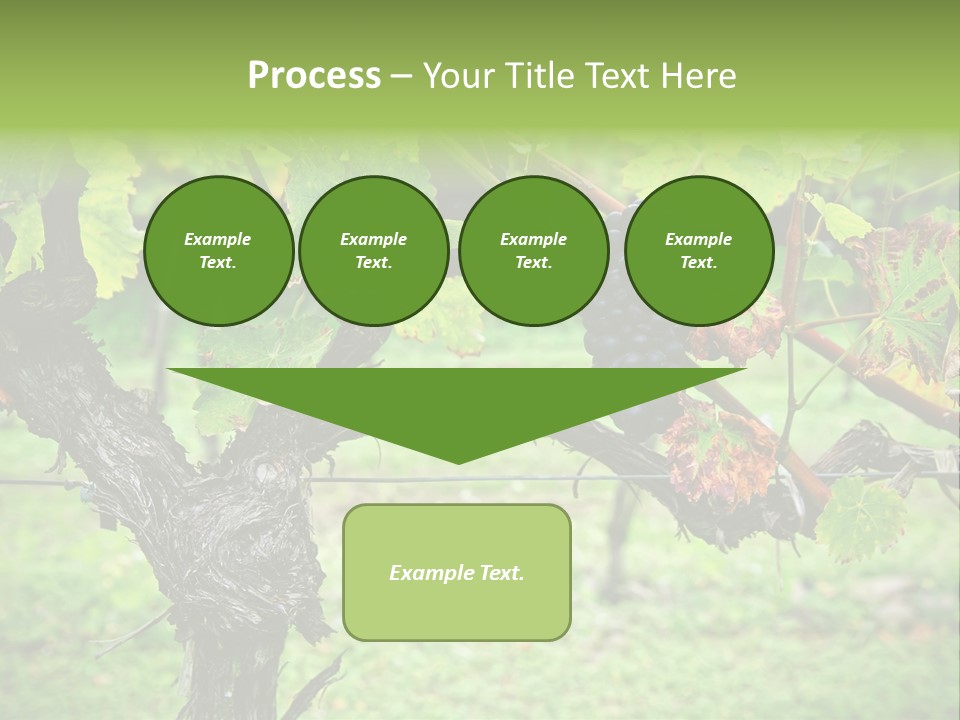 Branch Plant Healthy PowerPoint Template