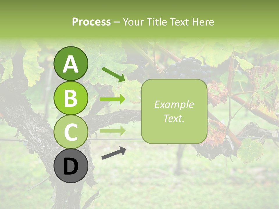 Branch Plant Healthy PowerPoint Template