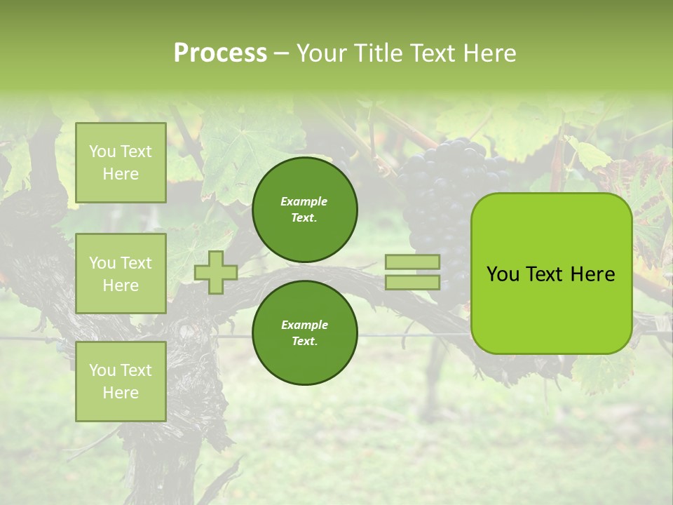 Branch Plant Healthy PowerPoint Template