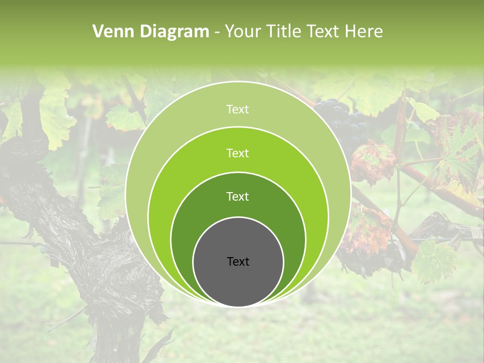 Branch Plant Healthy PowerPoint Template