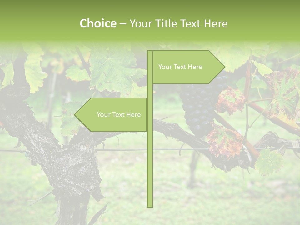 Branch Plant Healthy PowerPoint Template