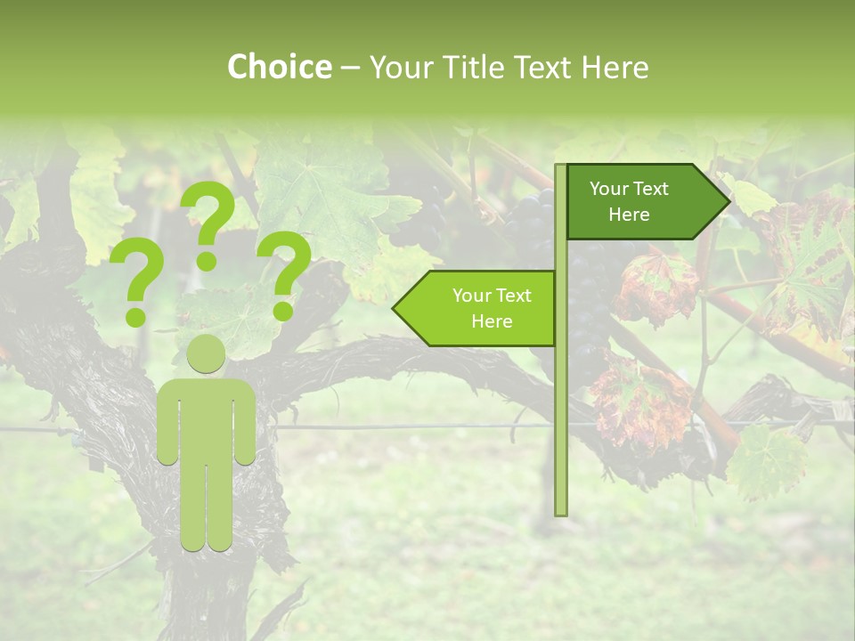 Branch Plant Healthy PowerPoint Template