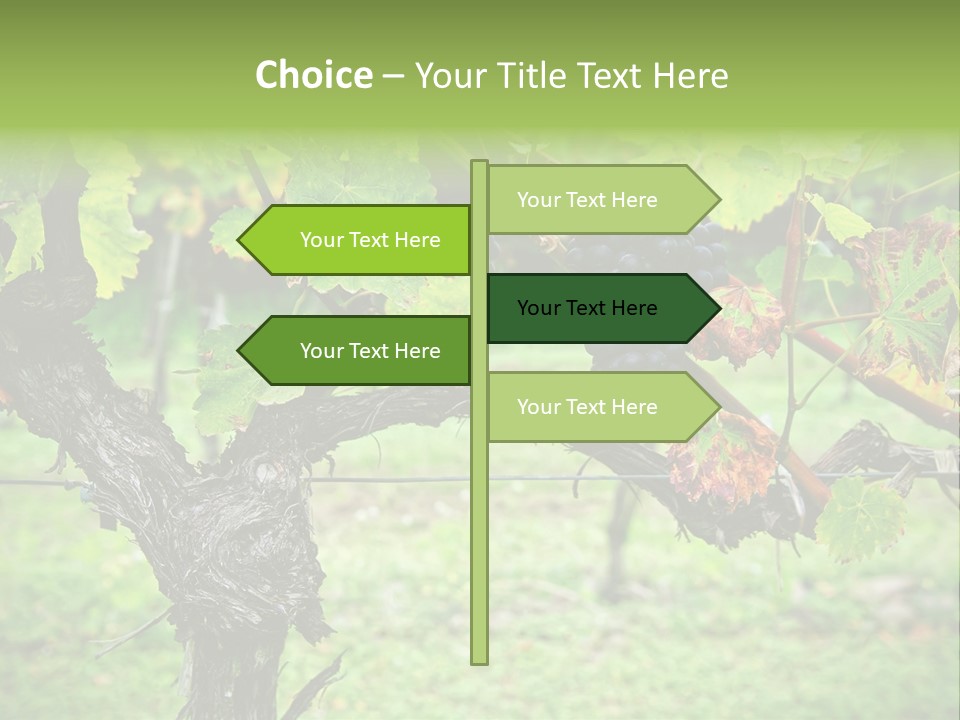 Branch Plant Healthy PowerPoint Template