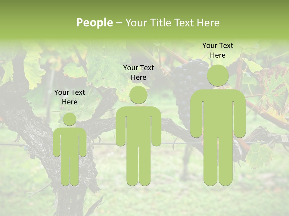 Branch Plant Healthy PowerPoint Template