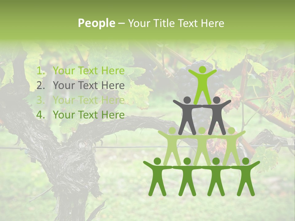 Branch Plant Healthy PowerPoint Template