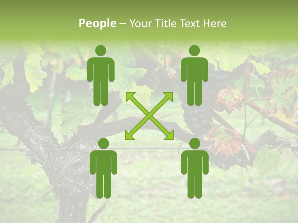 Branch Plant Healthy PowerPoint Template