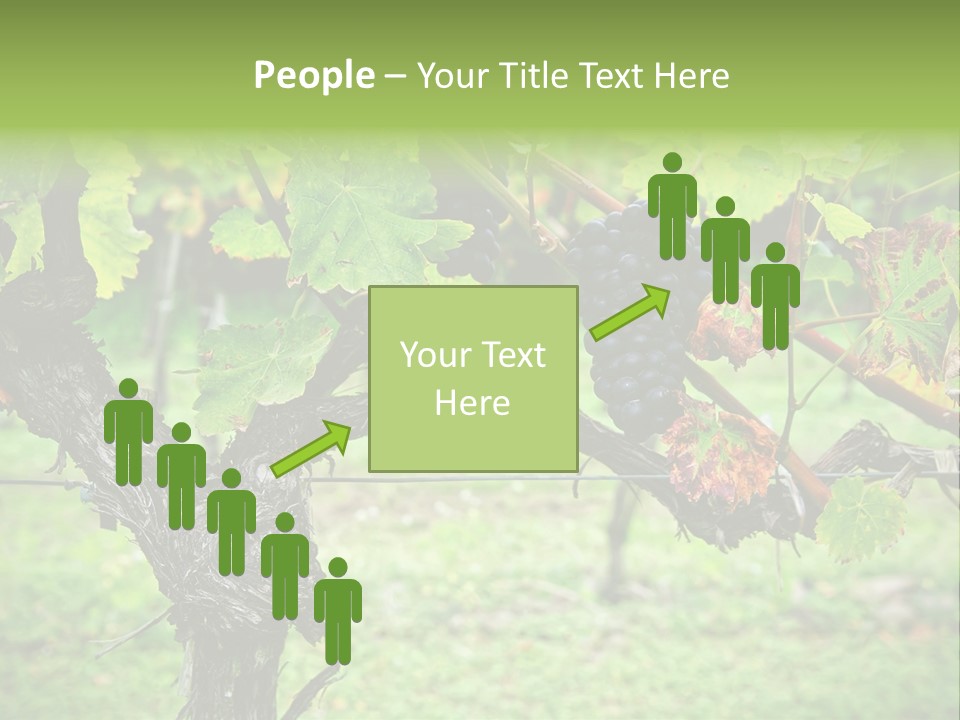 Branch Plant Healthy PowerPoint Template