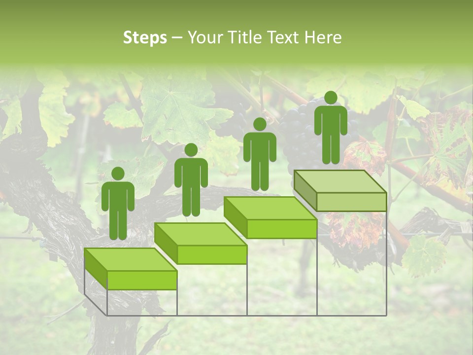 Branch Plant Healthy PowerPoint Template
