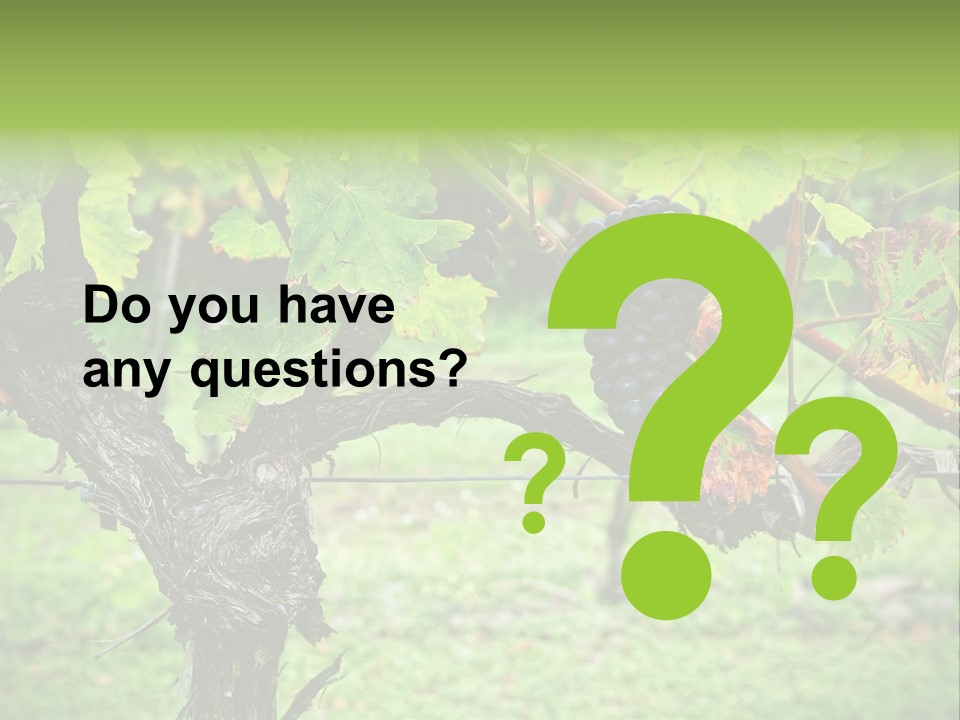 Branch Plant Healthy PowerPoint Template