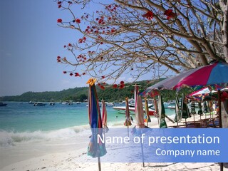 Wave Sea Exotic PowerPoint Template