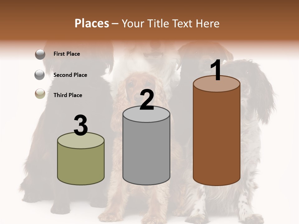 Pedigree Attentive Pedigreed PowerPoint Template