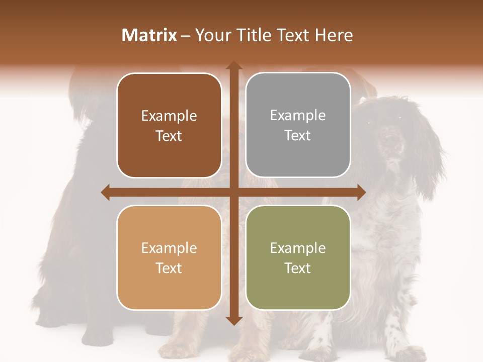 Pedigree Attentive Pedigreed PowerPoint Template