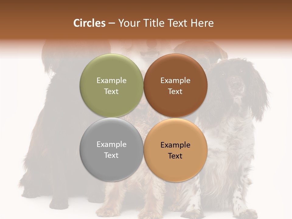 Pedigree Attentive Pedigreed PowerPoint Template