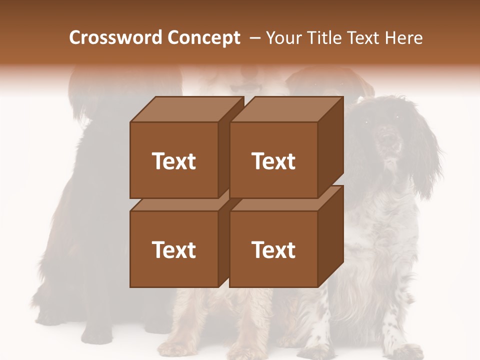 Pedigree Attentive Pedigreed PowerPoint Template