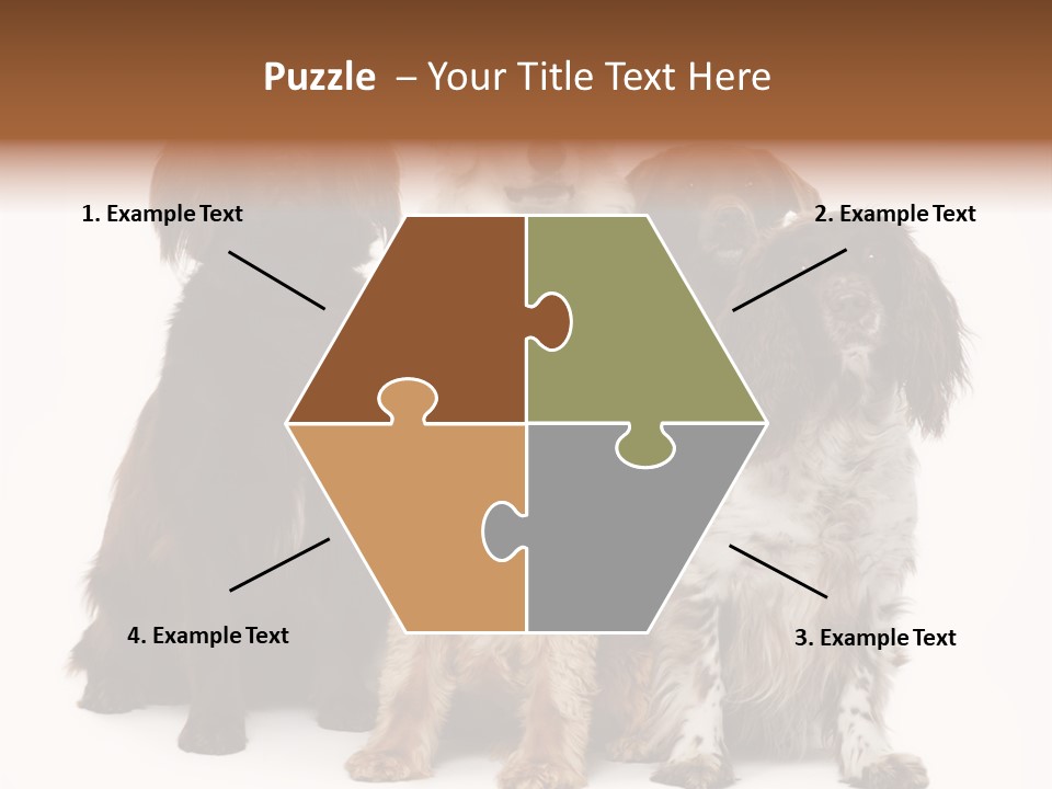 Pedigree Attentive Pedigreed PowerPoint Template