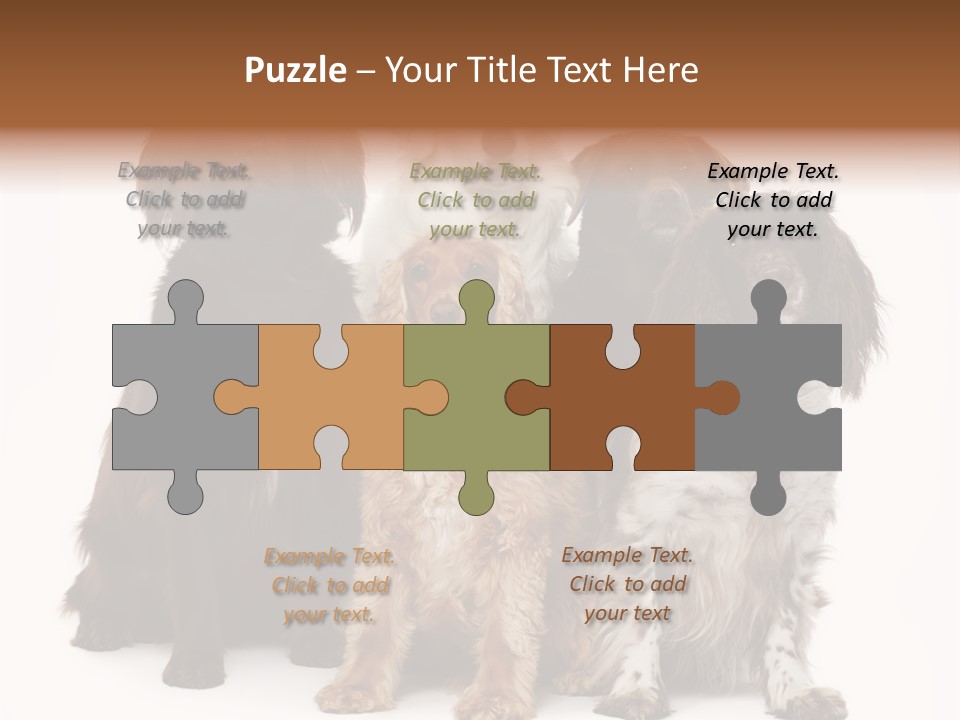 Pedigree Attentive Pedigreed PowerPoint Template