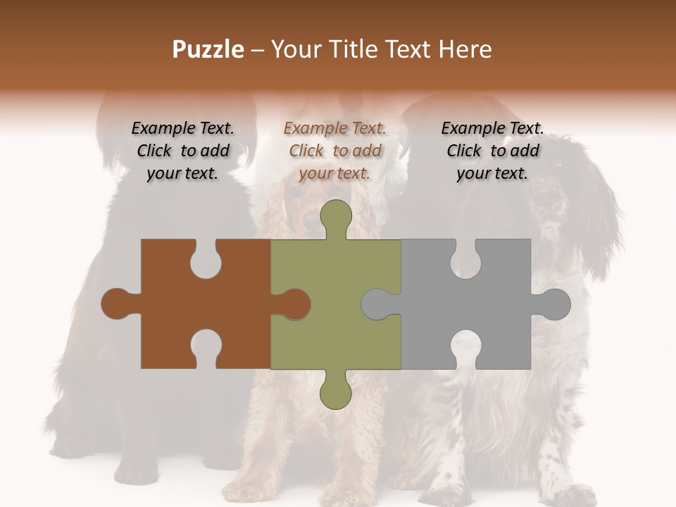 Pedigree Attentive Pedigreed PowerPoint Template