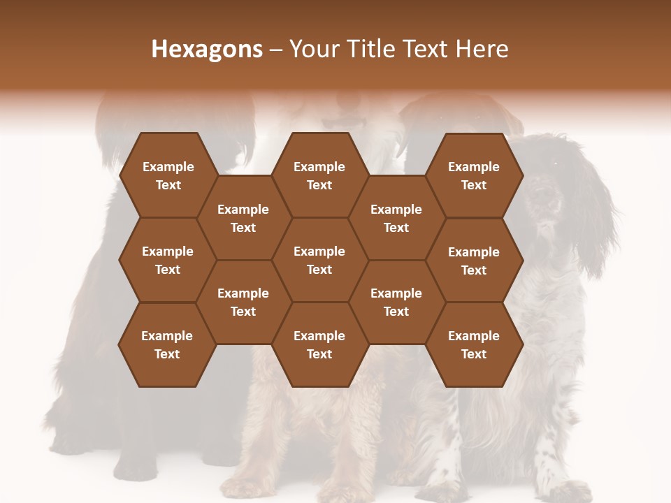 Pedigree Attentive Pedigreed PowerPoint Template