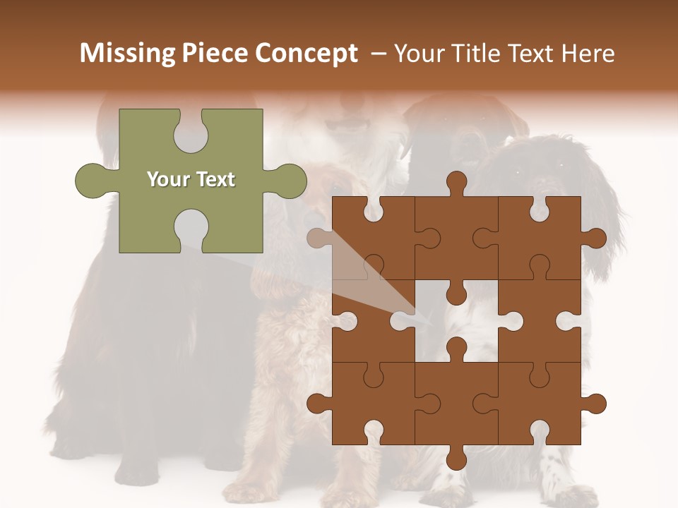 Pedigree Attentive Pedigreed PowerPoint Template
