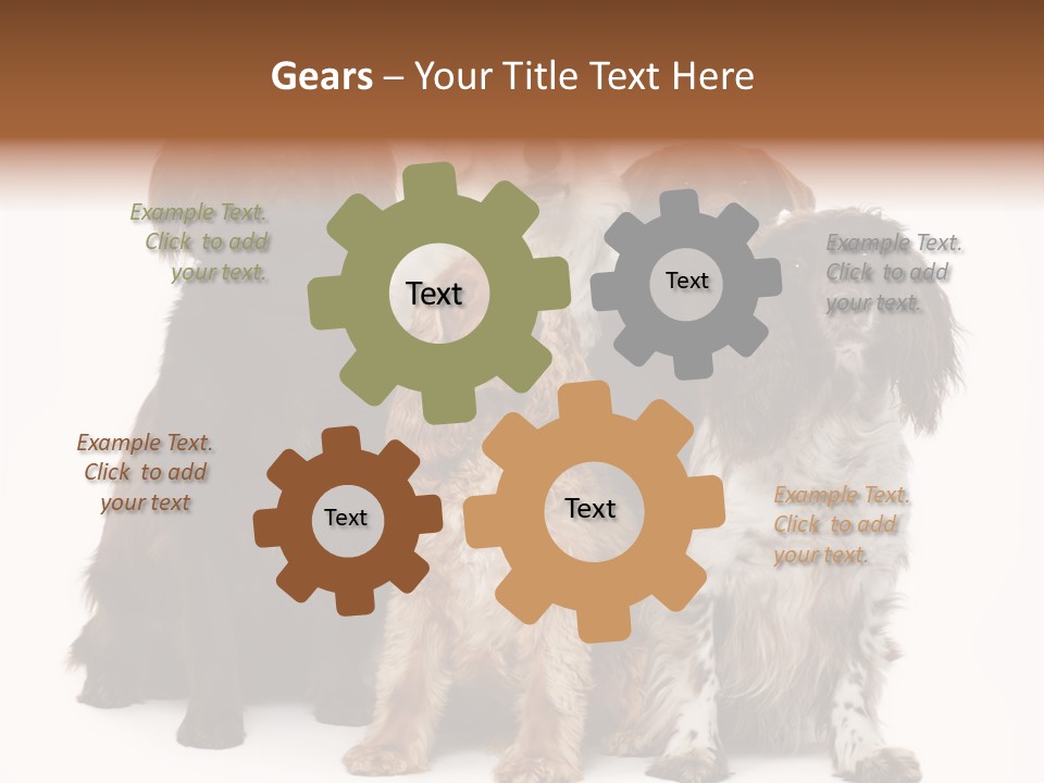 Pedigree Attentive Pedigreed PowerPoint Template