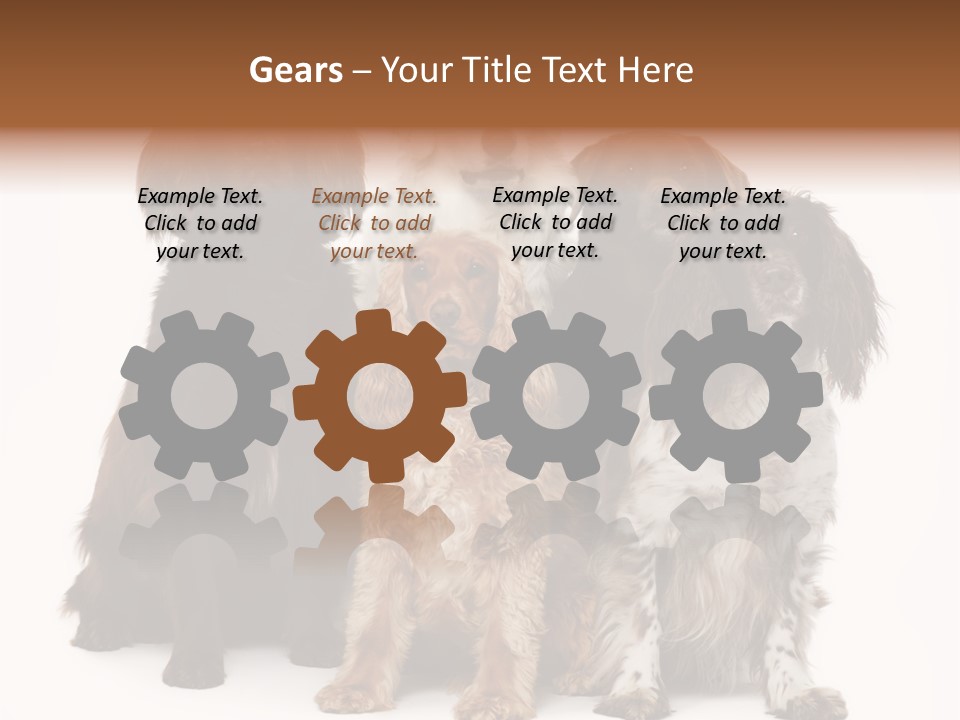 Pedigree Attentive Pedigreed PowerPoint Template