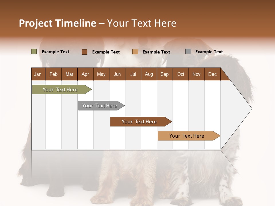 Pedigree Attentive Pedigreed PowerPoint Template