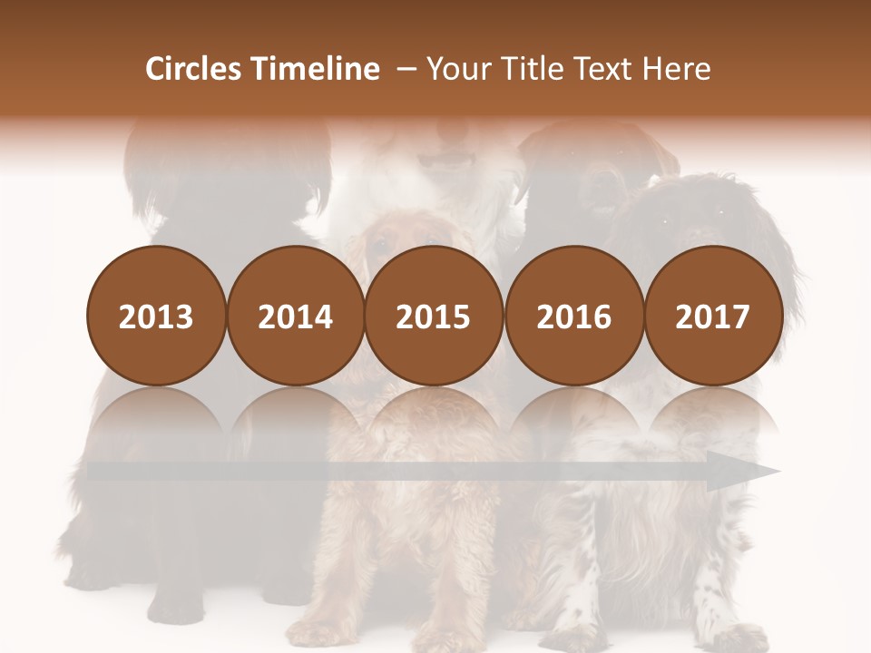Pedigree Attentive Pedigreed PowerPoint Template