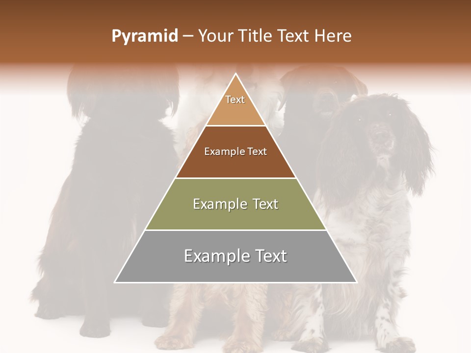 Pedigree Attentive Pedigreed PowerPoint Template