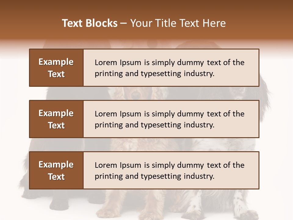 Pedigree Attentive Pedigreed PowerPoint Template