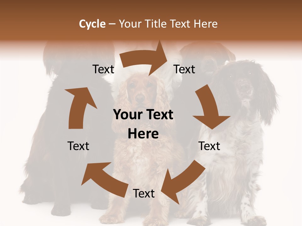 Pedigree Attentive Pedigreed PowerPoint Template