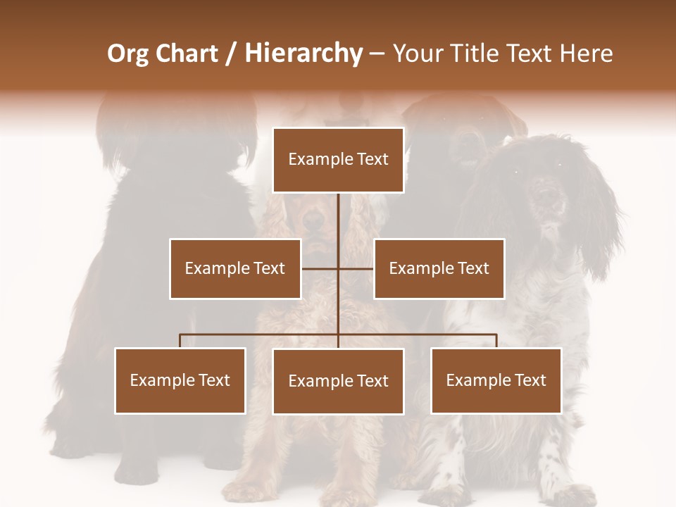 Pedigree Attentive Pedigreed PowerPoint Template