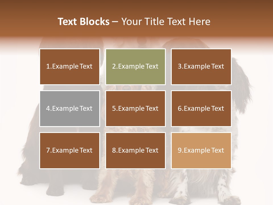 Pedigree Attentive Pedigreed PowerPoint Template