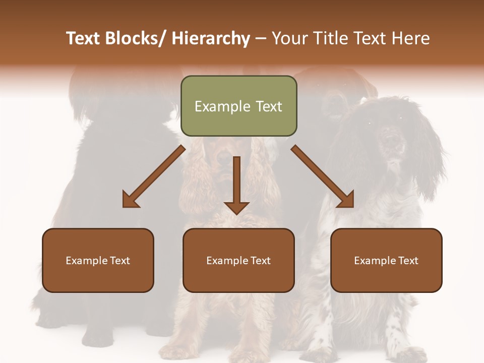 Pedigree Attentive Pedigreed PowerPoint Template