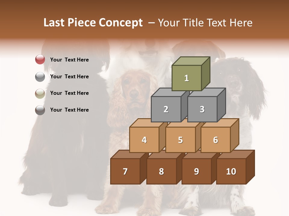 Pedigree Attentive Pedigreed PowerPoint Template