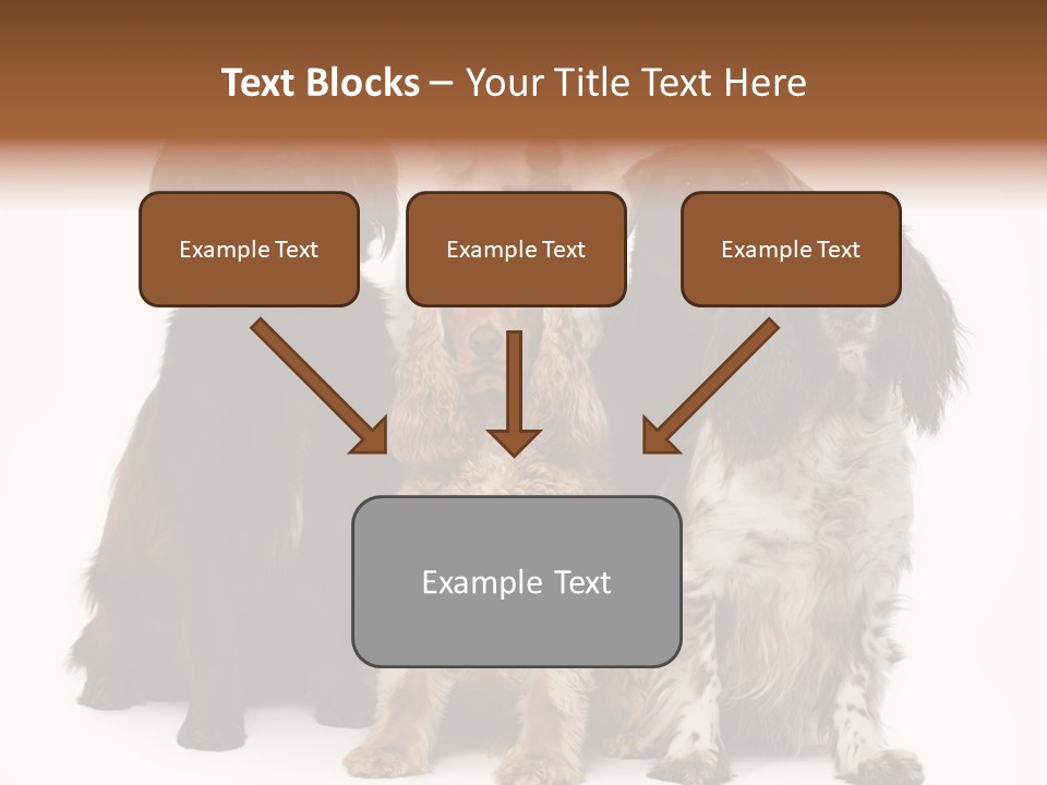 Pedigree Attentive Pedigreed PowerPoint Template