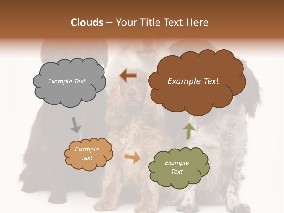 Pedigree Attentive Pedigreed PowerPoint Template