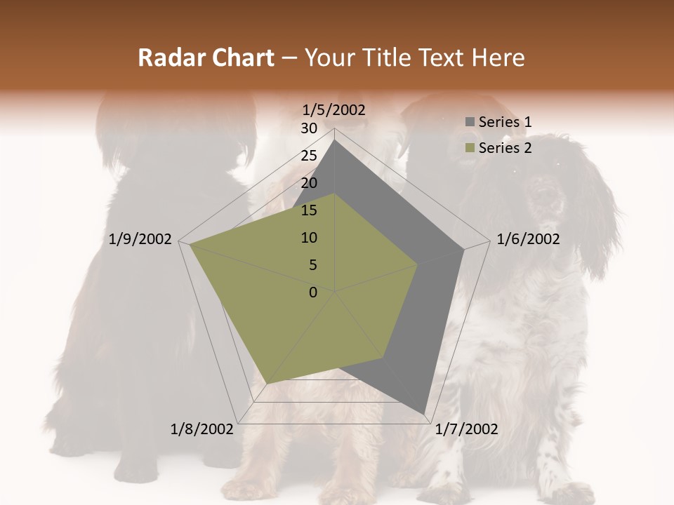 Pedigree Attentive Pedigreed PowerPoint Template