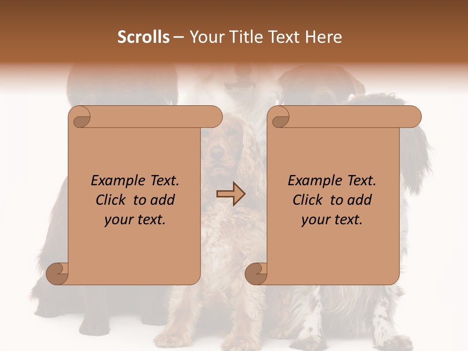 Pedigree Attentive Pedigreed PowerPoint Template