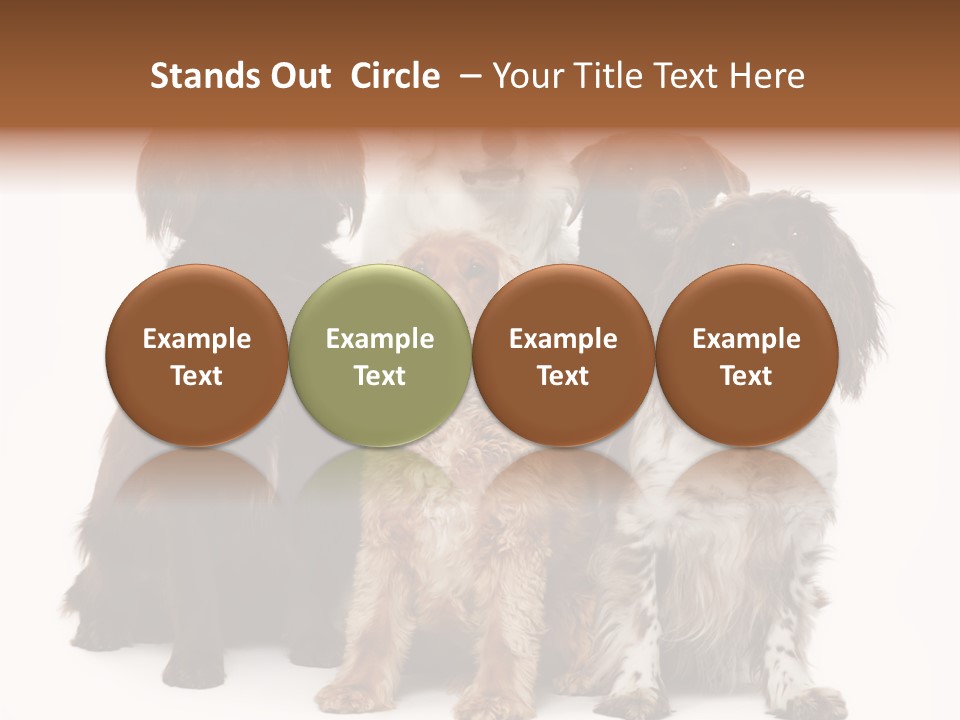 Pedigree Attentive Pedigreed PowerPoint Template